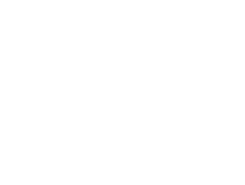 RevQL Logo